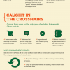 Google Panda Infographic